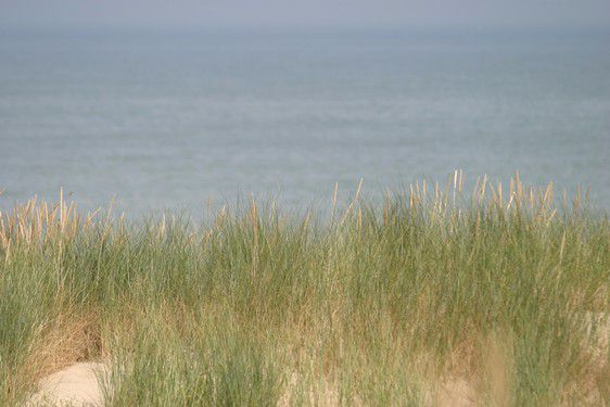 Achat maison appartement Malo-les-bains, Rosendael, Leffrinckoucke, Teteghem