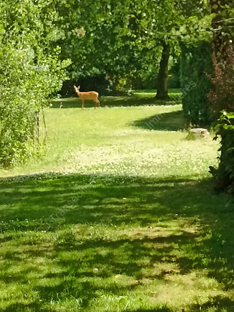 maison 9 Pièces en vente sur TETEGHEM COUDEKERQUE VILLAGE (59229)