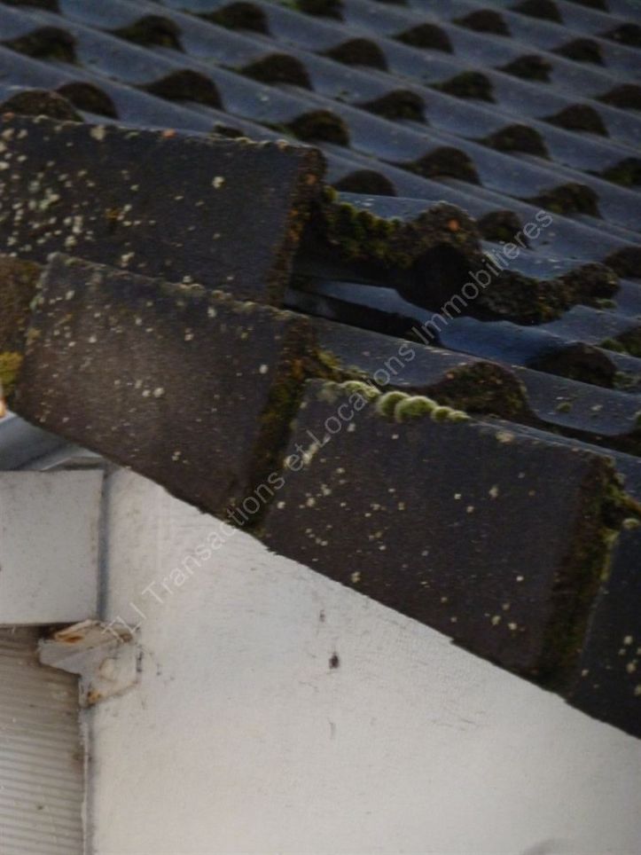 Vente Maison Téteghem 4&nbsp;Pièces 105&nbsp;m²